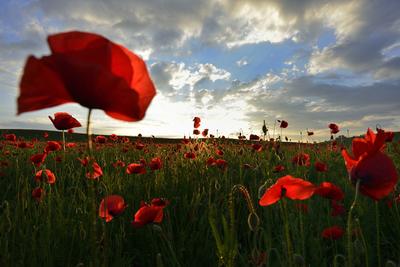 Nógrádi táj-stock-foto