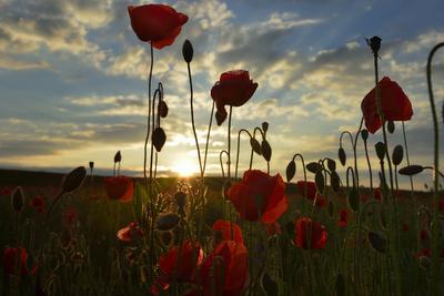 Nógrádi táj-stock-foto