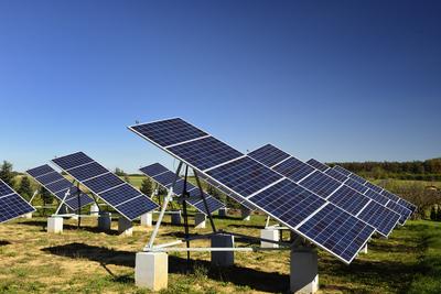 Nagypáli-stock-foto