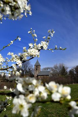 Nagybörzsöny-stock-foto