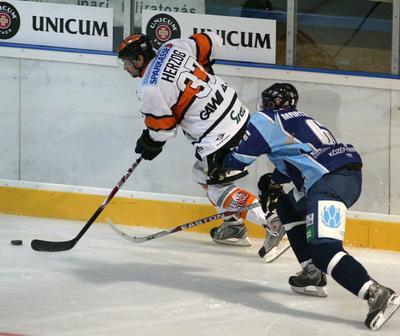 Graz 99ers-Sapa Fehérvár AV19-stock-foto