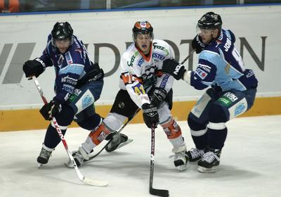 Graz 99ers-Sapa Fehérvár AV19-stock-foto