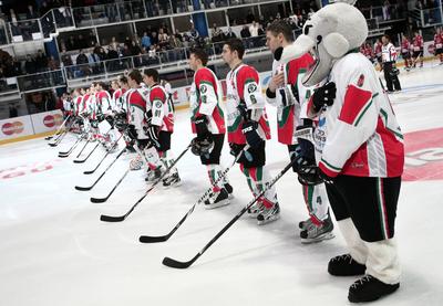 Magyarország - Ausztria 3:1-stock-foto