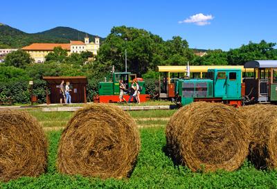 A 2016-ban átadott Márianosztra – Nagyirtáspuszta erdei kisvasút  szakasz a Szob és Nagybörzsöny között közlekedik. A transzbörzsönyi vasút ma Magyarország egyik leglátványosabb hegyi pályája, a vonala szűk patakmedrek partján, sűrű erdőkben kanyarog,-stock-foto