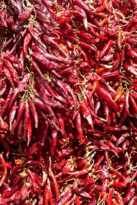 Paprikafüzér-stock-foto