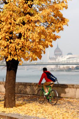 Kerékpáros az őszi Dunaparton-stock-foto