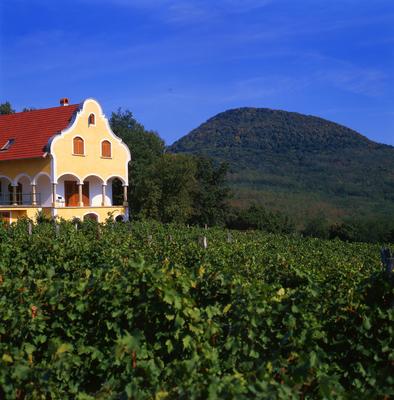 Balatonfelvidék-stock-foto