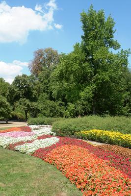 Budapest, Margitsziget-stock-foto