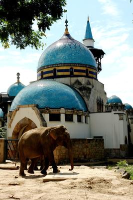 Budapest, Állatkert-stock-foto