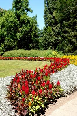 Budapest, Margitsziget-stock-foto