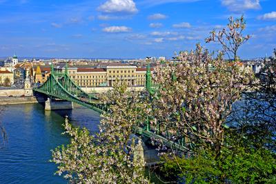Budapesti látkép a Gellérthegyrõl a Dunával és a Szabadság-híddal tavasszal-stock-foto