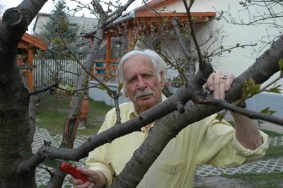 Bálint gazda-stock-foto