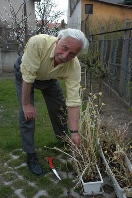 Bálint gazda-stock-foto