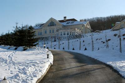 Benkő villa-stock-foto