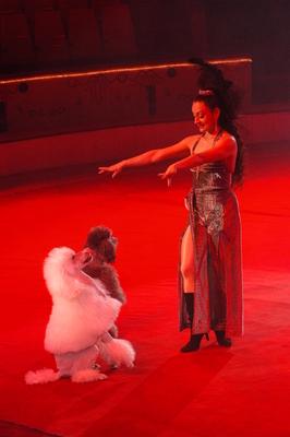 Fővárosi Nagycirkusz-stock-foto