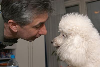 Kutya a családban-stock-foto