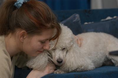 Kutya a családban-stock-foto