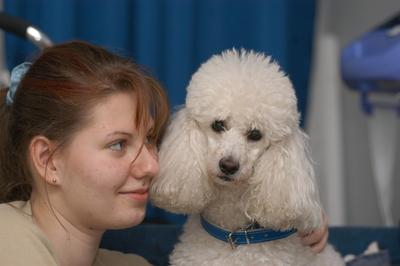 Kutya a családban-stock-foto