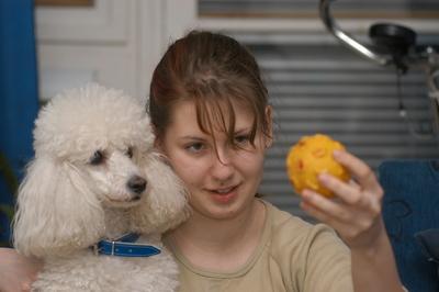 Kutya a családban-stock-foto