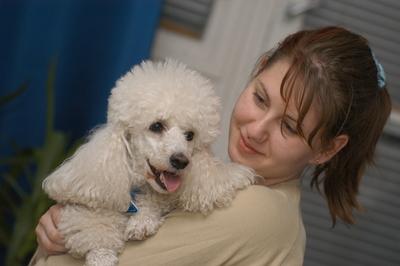 Kutya a családban-stock-foto