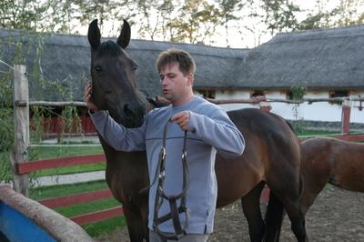 Püspökhatvan, Ökofarm-stock-foto