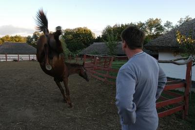 Püspökhatvan, Ökofarm-stock-foto