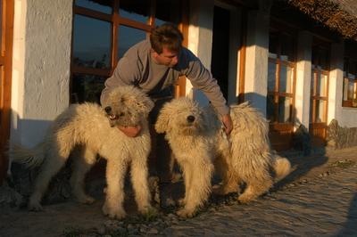 Püspökhatvan, Ökofarm-stock-foto