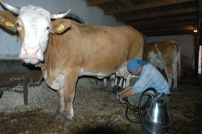 Püspökhatvan, Ökofarm-stock-foto