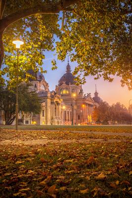 Őszi reggel a Széchenyi fürdőnél-stock-foto