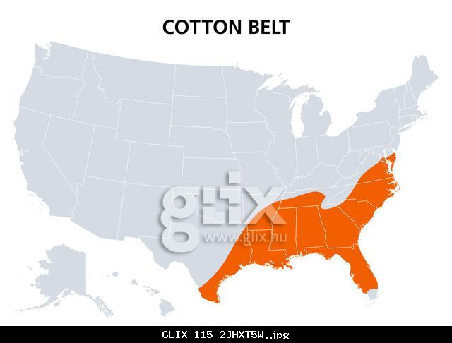 Cotton Belt of the United States, political map. Region of the