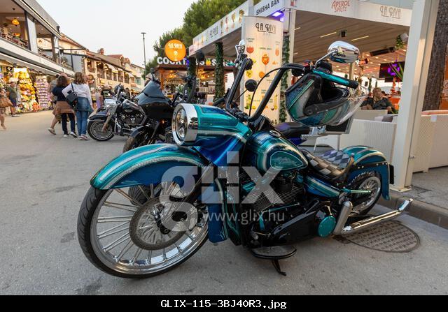 Medulin, Hrvatska. 12th June, 2025. European H.O.G. Rally, Harley Davidson owners grup held in Medulin, Croatia on 12. June 2025. Photo: Srecko Niketic/PIXSELL Credit: Pixsell/Alamy Live News