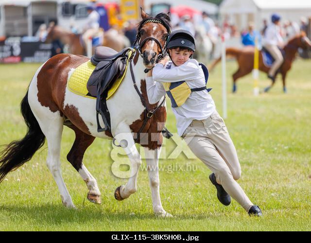 Cheshire Show, Clay House Farm, Flittogate Lane, Knutsford - 17 June 2025 - The 2025 Royal Cheshire County Show is a splendid homage to the idyllic Cheshire countryside, agriculture, delectable cuisine, and wholesome family entertainment. It features livestock competitions, equestrian events, local produce, crafts, and a food village with live cooking demonstrations by top chefs. 7 Pony Club teams competed in the main arena for the Jean Hough Memorial Trophy. Credit: John Hopkins/Alamy Live News