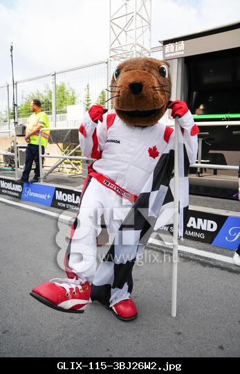 Montreal, Quebec, Canada – June 12, 2025: A groundhog mascot dressed in a Canadian racing suit poses with a checkered flag during media day and the pit lane walk ahead of the Formula 1 Canadian Grand Prix at Circuit Gilles-Villeneuve. The mascot, a reference to the famous trackside groundhogs in Montreal, entertained fans and photographers during the day.