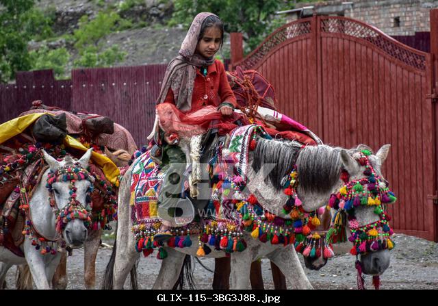 A young nomad girl with her lamb rides a horse during wet weather conditions in Sonamarg, about 100kms from Srinagar, the summer capital of Jammu and Kashmir.
