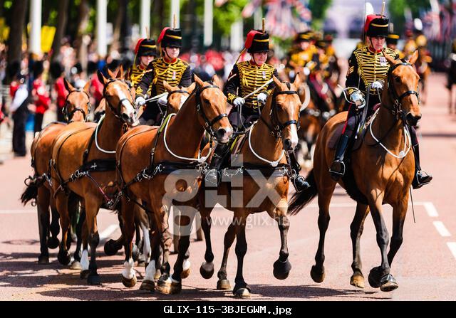 The household divisions return down The Mall from the parade ground during Trooping the colour on Saturday 14 June 2025 at Buckingham Palace, London. Number 7 Company Coldstream Guards Troop their Colour in the presence of His Majesty The King. Over 1350 soldiers of the Household Division and King’s Troop Royal Horse Artillery took part, including over 300 musicians from the Massed Bands.. Picture Credit: Julie Edwards.