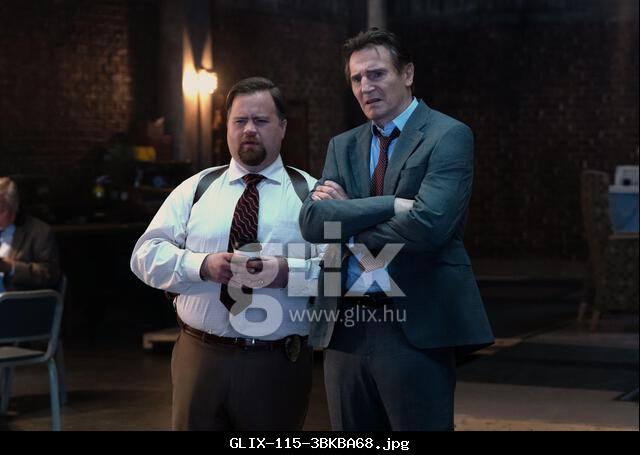 RELEASE DATE: August 1, 2025. TITLE: The Naked Gun STUDIO: Paramount Pictures. DIRECTOR: Akiva Schaffer. PLOT: Only one man has the particular set of skills, to lead Police Squad and save the world. STARRING: PAUL WALTER HAUSER as Ed, LIAM NEESON as Frank. (Credit Image: © Paramount Pictures/Entertainment Pictures/ZUMAPRESS.com) EDITORIAL USAGE ONLY! Not for Commercial USAGE!