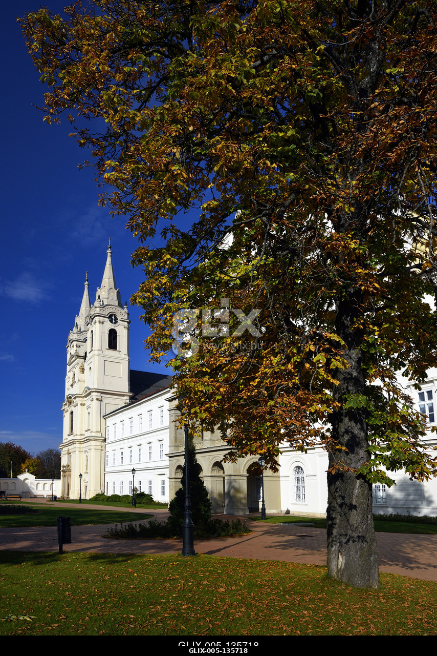 A város központi részén elhelyezkedő ciszterci monostor jellegzetes épületének a templomhoz csatlakozó 18. századi szárnyait Witwer Márton kármelit...