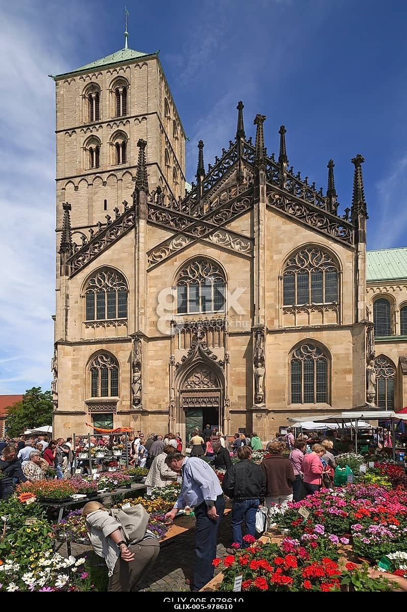 Market day in Domplatz square, at the back Münster Cathedral, St.-Paulus-Dom, 14th century, Münster, Münsterland, North Rhine-Westphalia, Germany