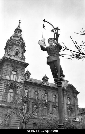 BUDAPEST 1956 Rákosi Mátyás mellszobra egy lámpaoszlopon akasztva Budapest belvárosában, a Magyar Népköztársaság és a szovjetek által kényszerített...