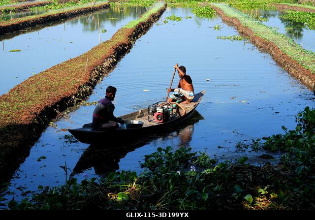 Nazirpur, Pirojpur, Banglades. 2025. október 27. A pirojpuri körzet Nazirpur uniójában, Bangladesben a gazdák úszó zöldségeskertekben nevelnek palá...