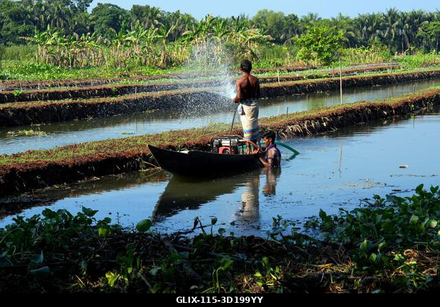 Nazirpur, Pirojpur, Banglades. 2025. október 27. A pirojpuri körzet Nazirpur uniójában, Bangladesben a gazdák úszó zöldségeskertekben nevelnek palá...