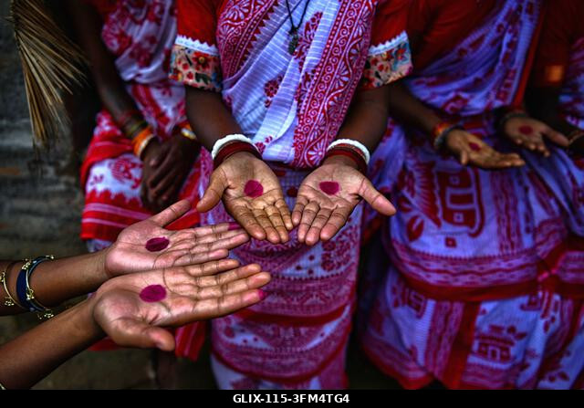 Purulia, India. 2026. szeptember 26. Törzsi nők imádkoznak a Karam fesztivál alatt. A Karam Puja, az egyik legnépszerűbb aratóünnep, a Karam fának...
