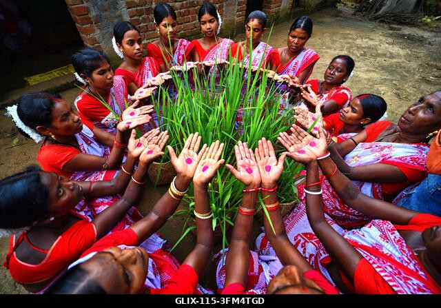 Purulia, India. 2026. szeptember 26. Törzsi nők imádkoznak a Karam fesztivál alatt. A Karam Puja, az egyik legnépszerűbb aratóünnep, a Karam fának...
