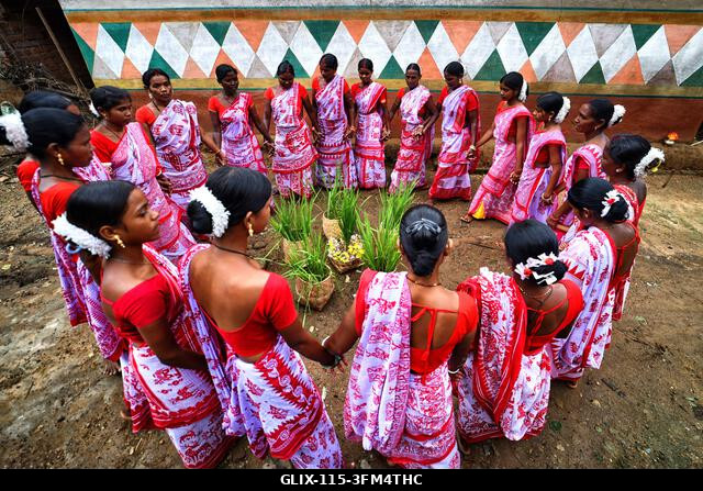 Purulia, India. 2026. szeptember 26. Törzsi nők táncolnak egy csoportban a Karam fesztivál alatt. A Karam Puja, az egyik legnépszerűbb aratóünnep,...