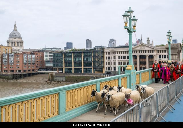 London, Egyesült Királyság. 2026. szeptember 27. Gloria Hunniford televíziós és rádiós műsorvezető, London polgármestere, Dame Susan Langley és Lon...