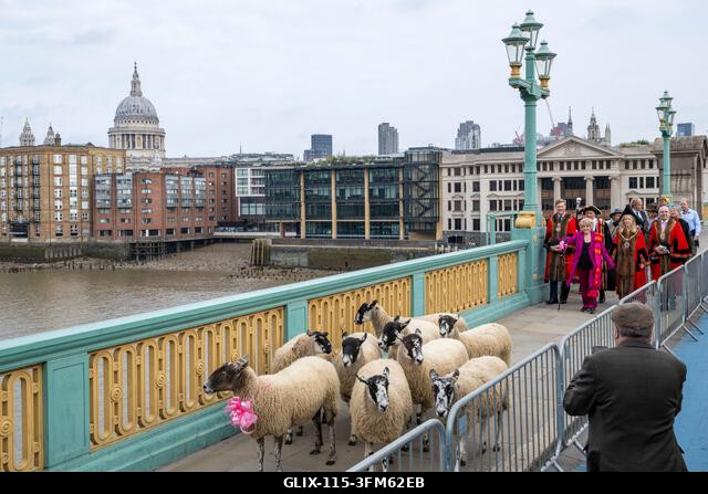 London, Egyesült Királyság. 2026. szeptember 27. Gloria Hunniford televíziós és rádiós műsorvezető, London polgármestere, Dame Susan Langley és Lon...