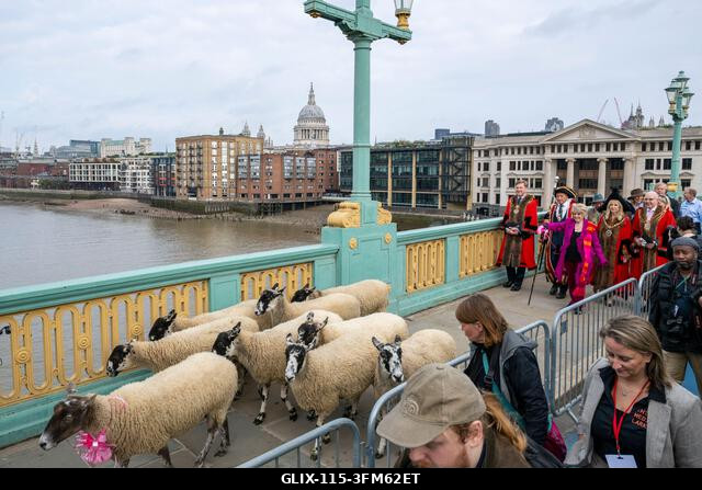 London, Egyesült Királyság. 2026. szeptember 27. Gloria Hunniford televíziós és rádiós műsorvezető, London polgármestere, Dame Susan Langley és Lon...