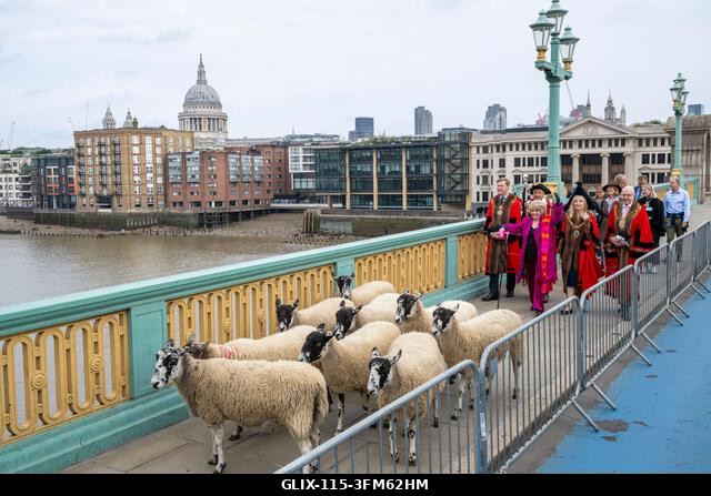 London, Egyesült Királyság. 2026. szeptember 27. Gloria Hunniford televíziós és rádiós műsorvezető, London polgármestere, Dame Susan Langley és Lon...