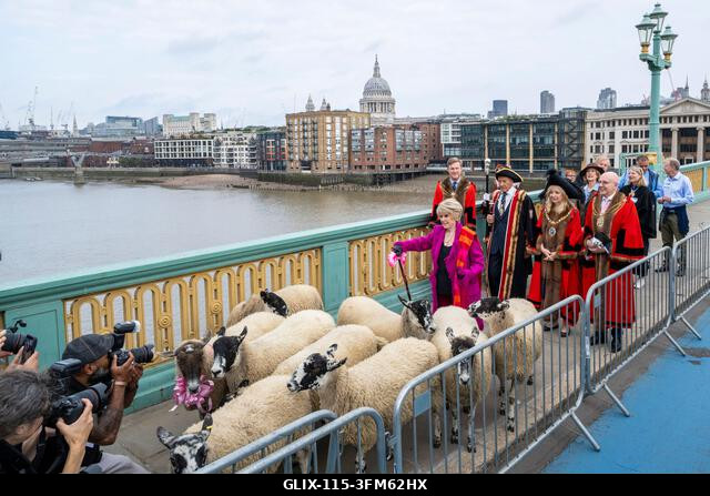 London, Egyesült Királyság. 2026. szeptember 27. Gloria Hunniford televíziós és rádiós műsorvezető, London polgármestere, Dame Susan Langley és Lon...
