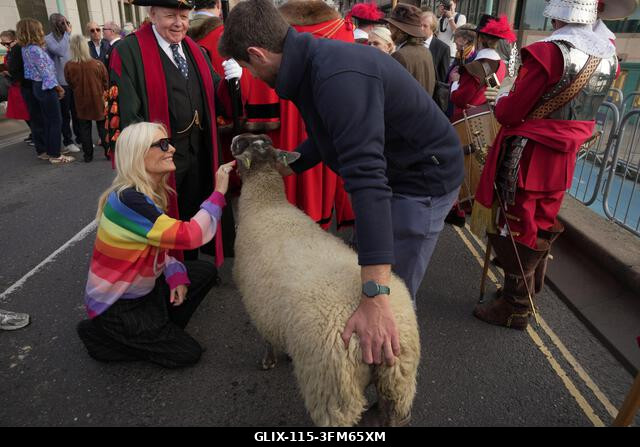 Gaby Roslin jelen van, amint Gloria Hunniford juhokat hajt át a Southwark hídon Londonban a 2026-os Woolmen's Sheep Drive során. A Woolmen's Sheep...